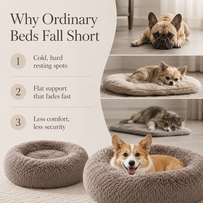 CloudNest Calming Bed