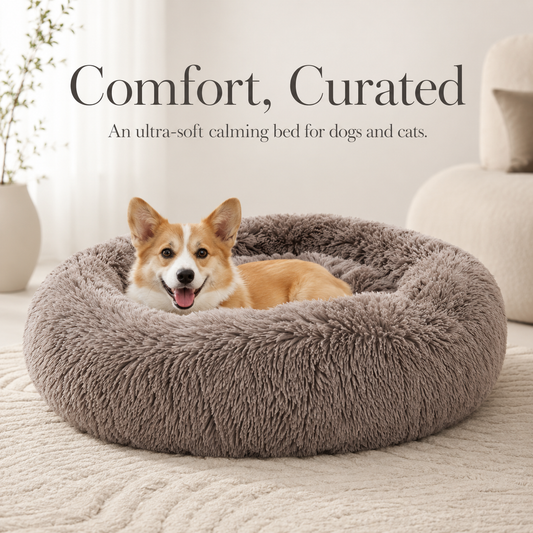 CloudNest Calming Bed