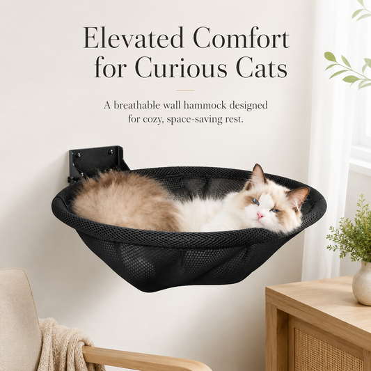 SkyNest Wall Hammock