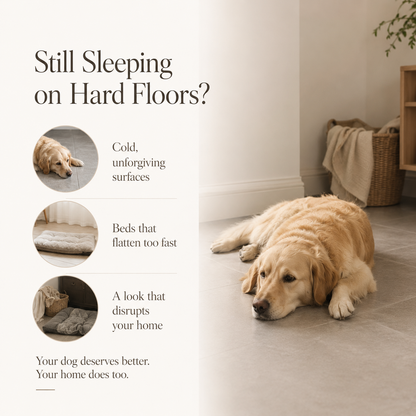 CloudLuxe Orthopedic Pet Mattress