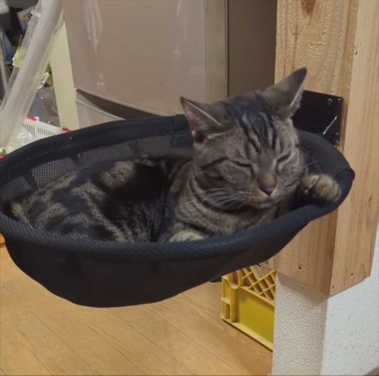 SkyNest Wall Hammock