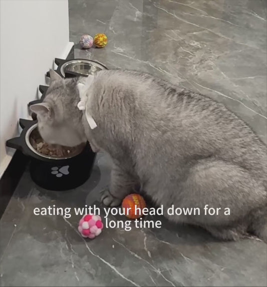 PurrEase Elevated Pet Bowl